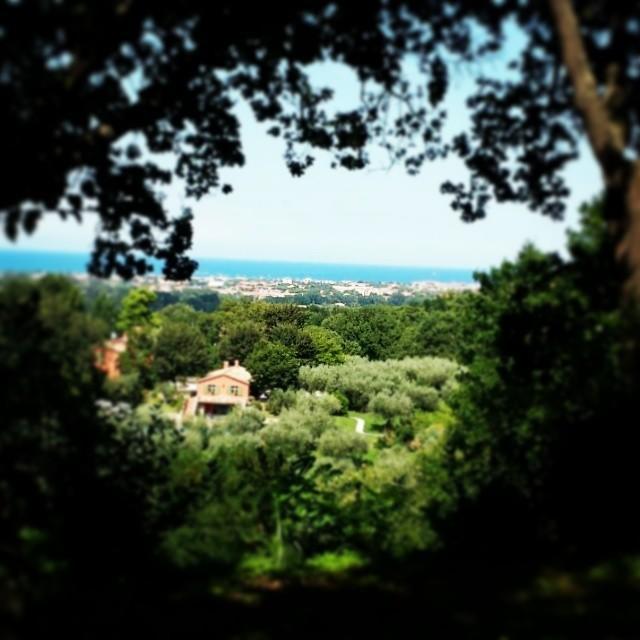 Agriturismo La Barca Nel Bosco Rosciano  Bagian luar foto